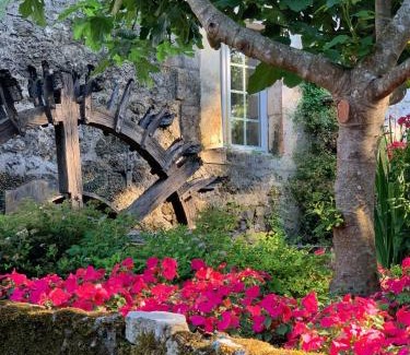 Champagnac-de-Belair Hotel | Le Moulin du Roc