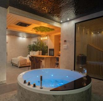 Sarreguemines Apartment | Le Nature - Sauna - Balnéo - Sparoom Sarreguemines