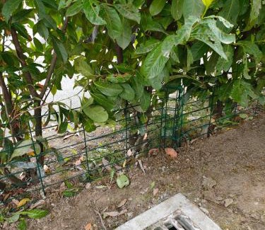 Faverges-Seythenex Apartment | Le Nid Savoyard