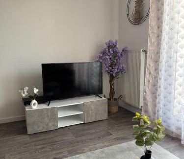 Villiers-le-Bel Apartment | Le Nid Urbain