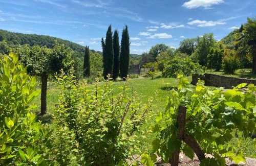 Collonges-la-Rouge Bed & Breakfast | Le palmier d'Alice