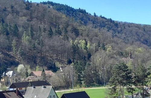 Kaysersberg-Vignoble Apartment | Le panorama - Appartement meublé 5 pièces cuisine salle de bain
