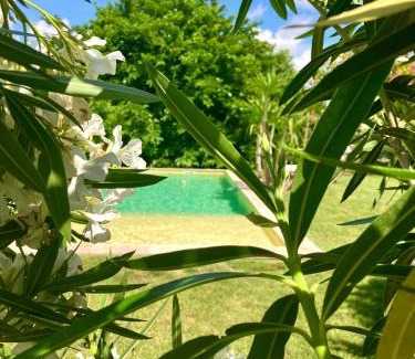 Aimargues Bed & Breakfast | Le Patio, chambres d hôtes pour adultes en Camargue, possibilité de naturisme à la piscine,