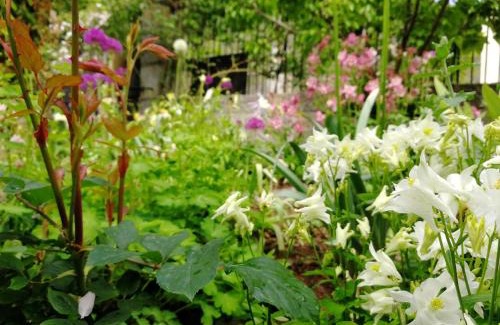 Ginoles Bed & Breakfast | Le Petit Chateau