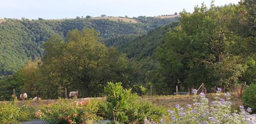 Centres House | Le Petit Suc