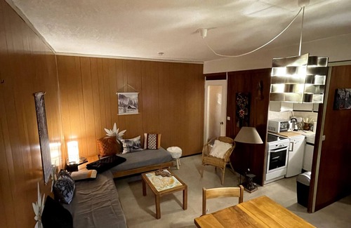 Mont-Dore Apartment | Le pradet C 480 - Le Mont Dore