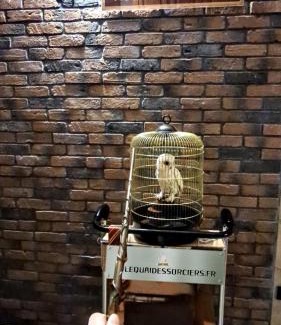 Haubourdin Apartment | Le Quai des sorciers 15 minutes de Lille