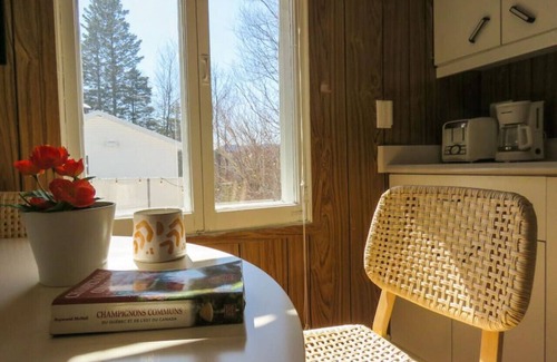 Saint-Tite-des-Caps Ski Chalet | Le refuge entre 2 Monts - spa, bqq & peace!