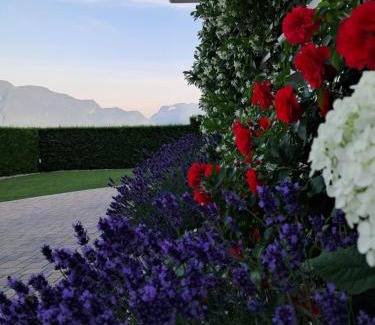 Tassullo Bed & Breakfast | Le Rocce Val di Non - Quality Room & Breakfast