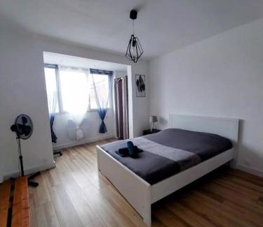 Tarbes Apartment | Le Saint Jean - 2 chambres - centre ville