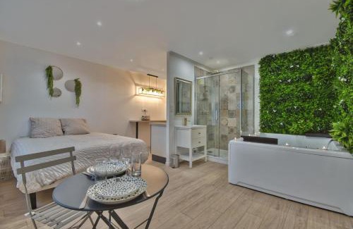 Epernon Apartment | ** Le SPA d'Épernon **