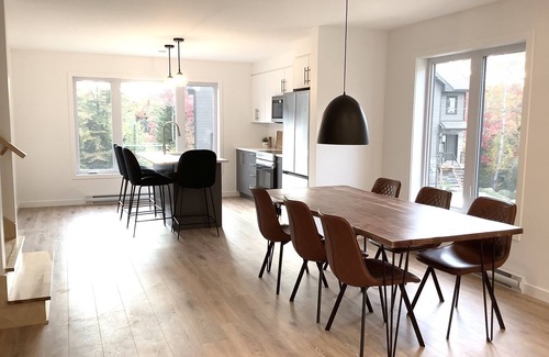 Saint-Faustin-Lac-Carre House | Le Townhouse 62 - New modern ski-in/ski-out just steps from beach and lake!