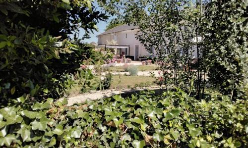 Montreuil-Bellay Bed & Breakfast | Le Vieux Logis