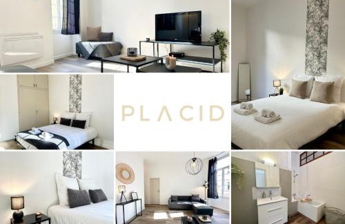 Mont-de-Marsan Apartment | LE WLÉRICK LUMINEUX - Spacieux - Hyper Centre