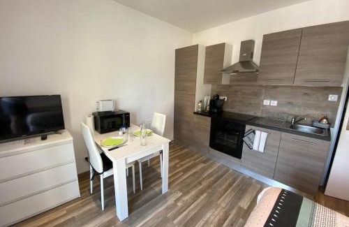 Bourg-en-Bresse Apartment | Legend- Parking privé Gratuit- Terrasse privée- Wifi - Convert - Alimentec