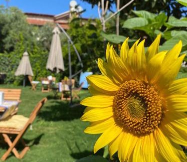 Kusadasi Hotel | Lemon-Ada Butik Otel