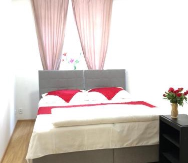 Prague 1 Apartment | Lena Apartment