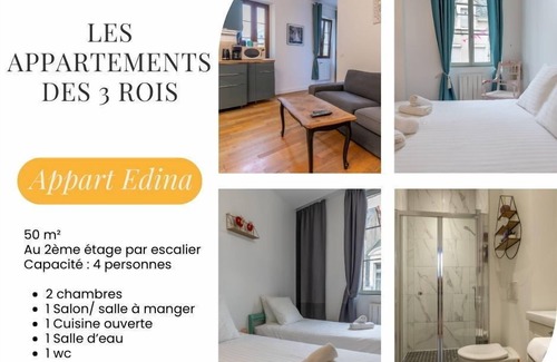 Romorantin-Lanthenay Apartment | Les 3 rois: Edina apartment Beauval and Châteaux