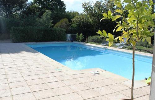 Taller House | Les bambous