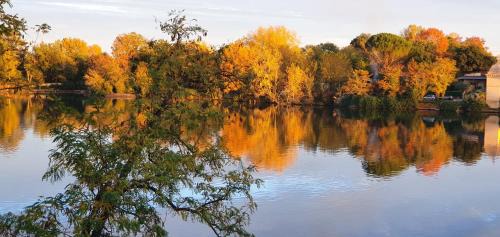 Labastide-de-Levis Apartment | Les berges du Seudo