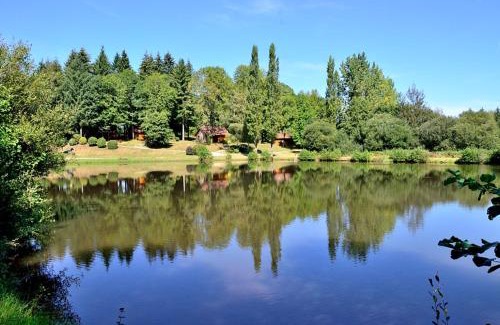 Cussac House | Les bouleaux