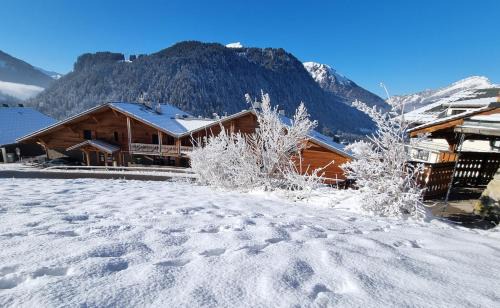 Chatel Apartment | Les Chalets du Petit Châtel