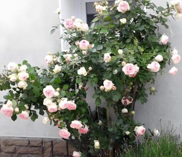 Laigne-en-Belin Bed & Breakfast | Les Chambres Du Circuit