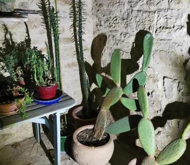 Saint-Montan Apartment | Les Citronniers