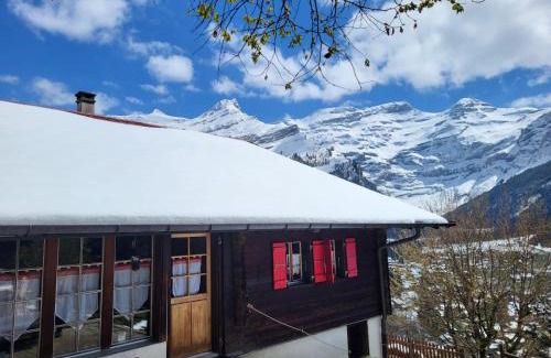 Ormont-Dessus Apartment | Les Fleurettes