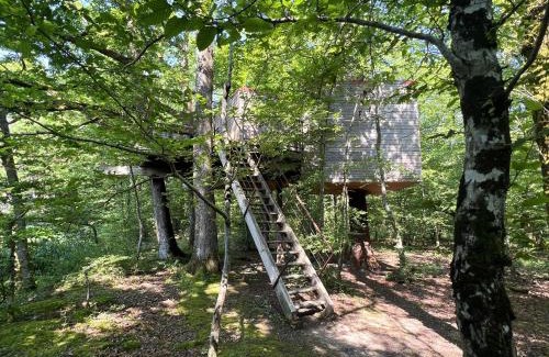 Saint-Verain House | Les Galants