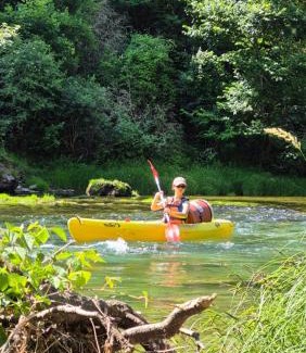 Boyne Bed & Breakfast | Les GARGOUILLES Gorges du Tarn - Millau