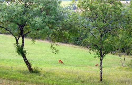 Albas House | Les Hauts d'Albas
