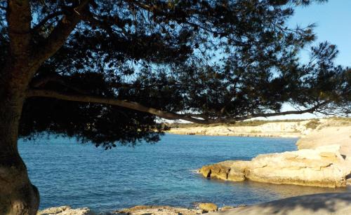 Sausset-les-Pins House | LES LAURIERS