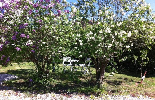 Chamouilley House | Les Lilas Roses