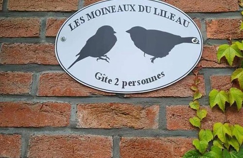 Marchin House | Les moineaux du Lileau