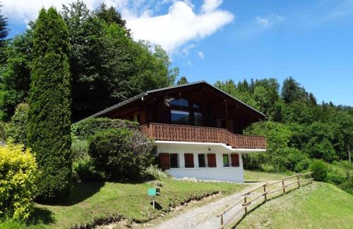 Morillon Ski Chalet | Les Oiseaux Bleus