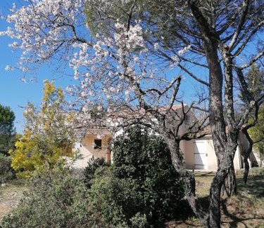 Saint-Jean-de-Minervois House | Les romarins