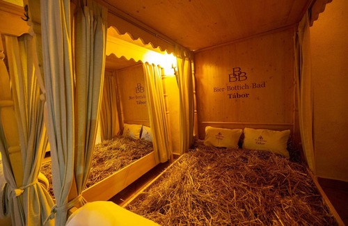 Tabor Hotel | LH Hotel Dvorak Tabor