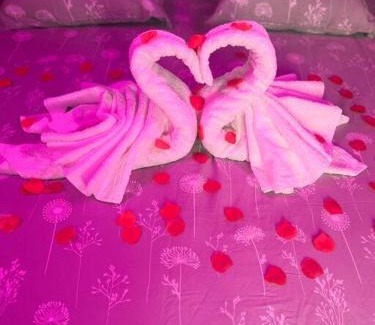 Chalette-sur-Loing Apartment | Lh room- balnéo-suite romantique