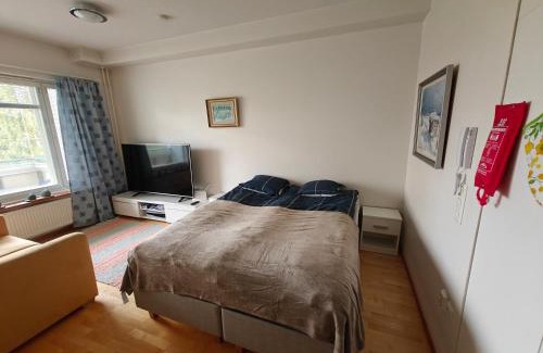 Kemi Apartment | Lil Haven Cozy Studio with Sauna, Glassed Balcony and Free Parking