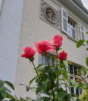 Baden-Baden Apartment | Lilienmatt Apartments