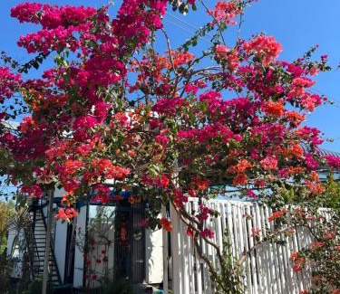 Duong Minh Chau House | Lily Homestay BaDen