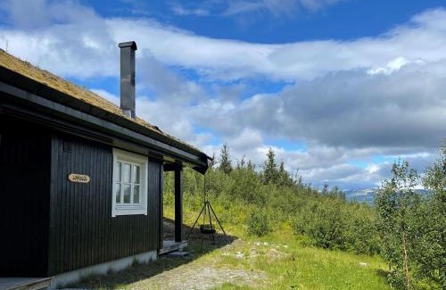 Al House | Linnaeus - 6 person cabin
