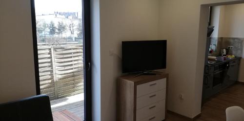 Andrychow Apartment | Lion Apartment
