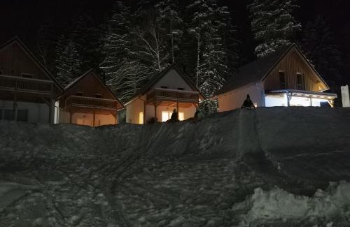 Lojzova Paseka House | Lipno-Lake