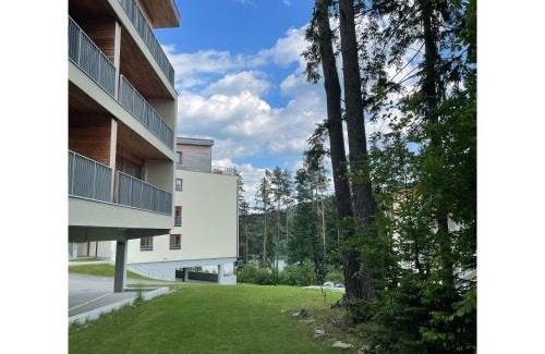 Lipno nad Vltavou Apartment | Lipno Port Apartment C101