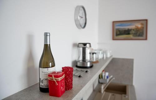 Frymburk Apartment | Lipno Wellness - Frymburk C 401