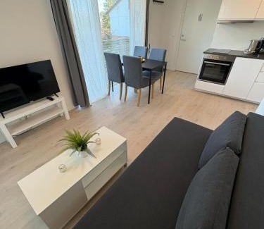 Bryn Apartment | Lisas apartment, private new 1 bedroom and 1 living room with sofa bed and big windows, share with nobody