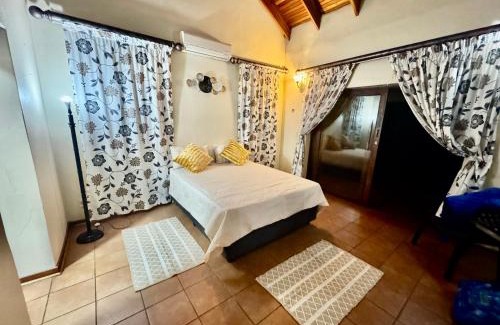 Greater Johannesburg Metropolitan Area House | Little Africa in Midrand