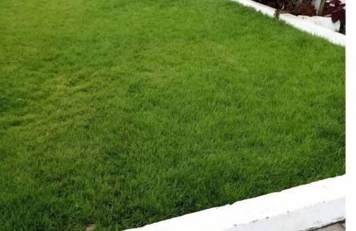 Ogbodjo Apartment | Little Dubai adjirigano